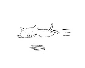 neko.jpg 300×240 14K