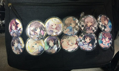bag.jpg 500×300 58K